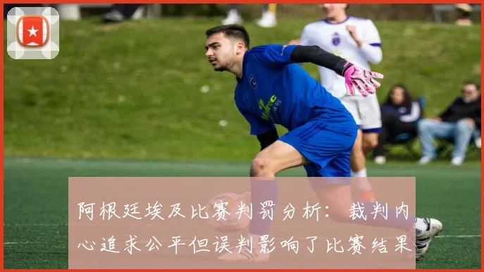 阿根廷埃及比赛判罚分析：裁判内心追求公平但误判影响了比赛结果